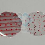 TAPETE FLOR ROJO 7CM SET100X1