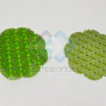 TAPETE FLOR VERDE 7CM SET100X1