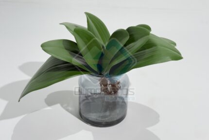 ARTIFICIAL PLANTA HOJA HORQUIDEA C FRASCO X1