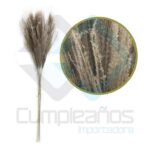 ARTIFICIAL RAMA ESPIGA CAFE SET10 X1