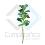 ARTIFICIAL PLANTA SUCULENTA X1