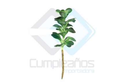 ARTIFICIAL PLANTA SUCULENTA X1