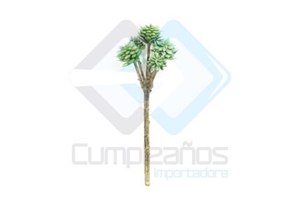 ARTIFICIAL PLANTA SUCULENTA X1