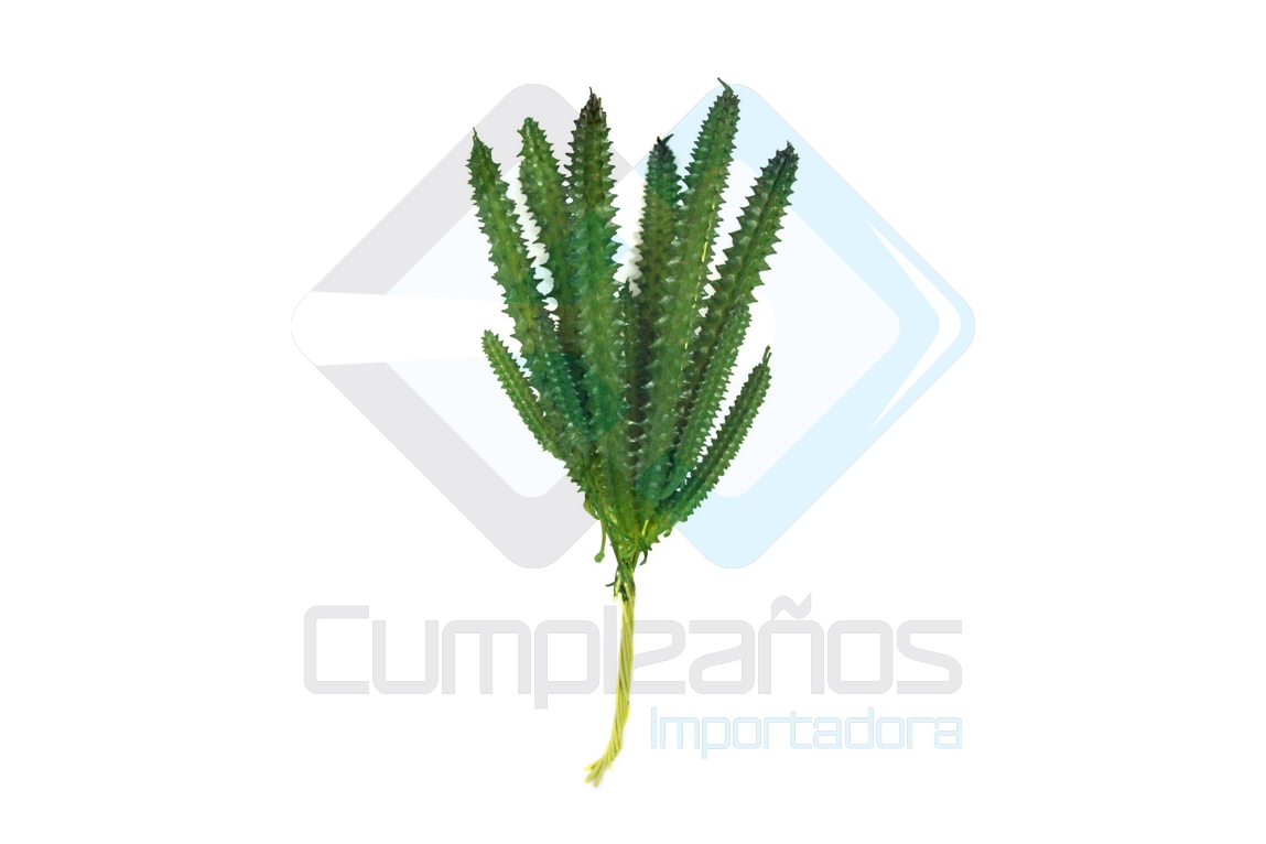 8679811116860 ARTIFICIAL PLANTA CACTUS X1 - Imagen 1
