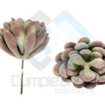 ARTIFICIAL PLANTA SUCULENTA X1