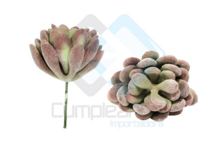 ARTIFICIAL PLANTA SUCULENTA X1