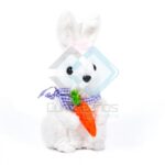 PASCUA CONEJO ZANAHORIA X1