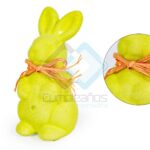CONEJO PASCUA VERDE X1
