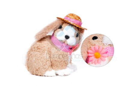 CONEJA C SOMBRERO X1