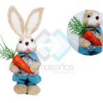 CONEJO C ZANAHORIA X1