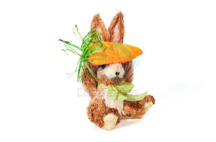 CONEJO C ZANAHORIA X1