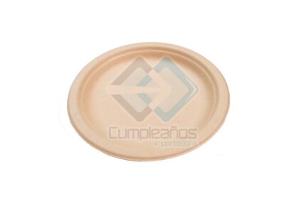 CARTON PLATO SET20 X1